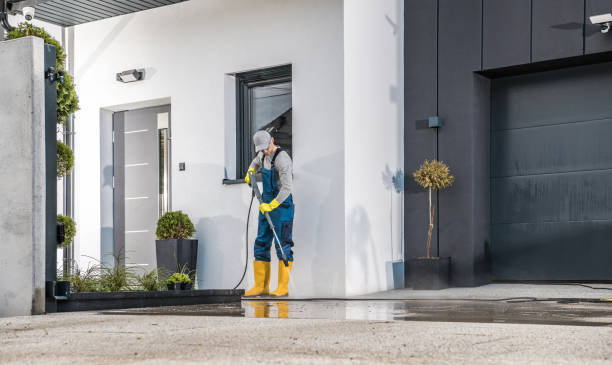 Best Paint Preparation  in Lovettsville, VA